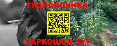 apvp Ирбит