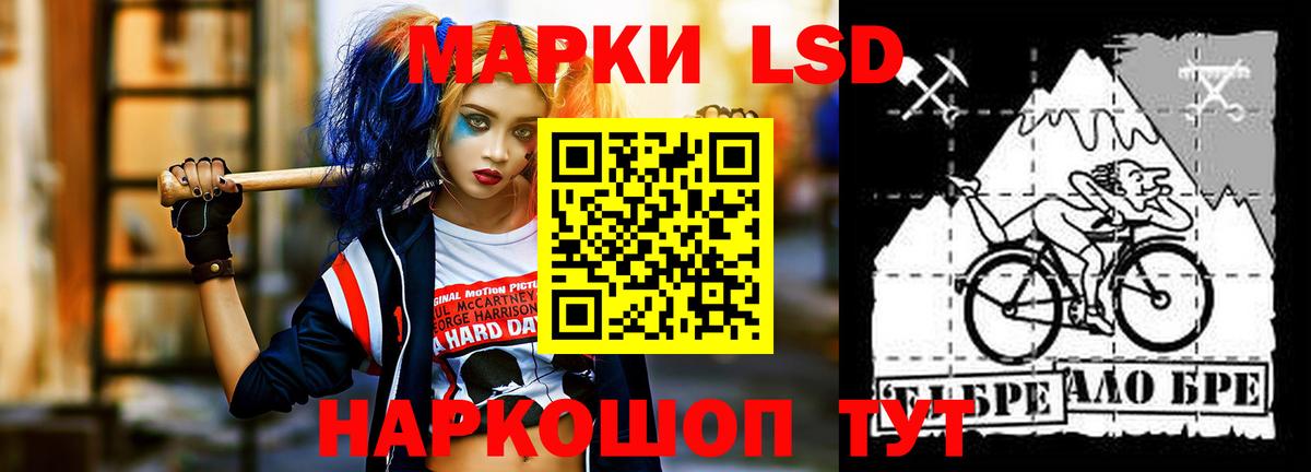 ЛСД экстази ecstasy  Вход с VPN  Михайловск 