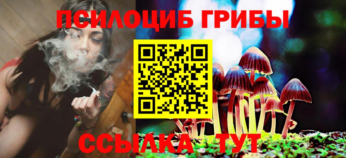 где можно купить   Вход с VPN  Михайловск  Псилоцибиновые грибы мухоморы 