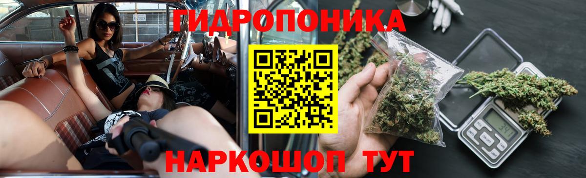 Михайловск  Каннабис планчик  Бошки Шишки конопля  Шишки марихуана White Widow  Вход с VPN 
