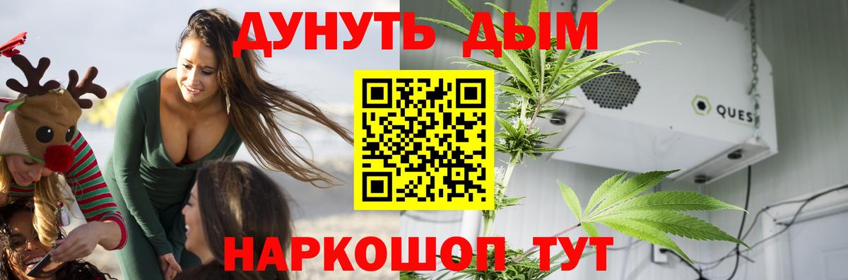 Бошки марихуана индика Михайловск